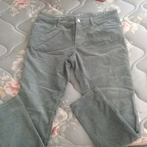 Loft Size 8 Cotton Corduroy pants